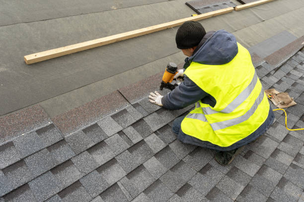 Best Roof Gutter Cleaning  in Kingsley, MI