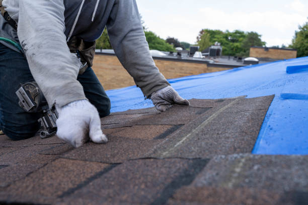 Roof Waterproofing Services in Kingsley, MI
